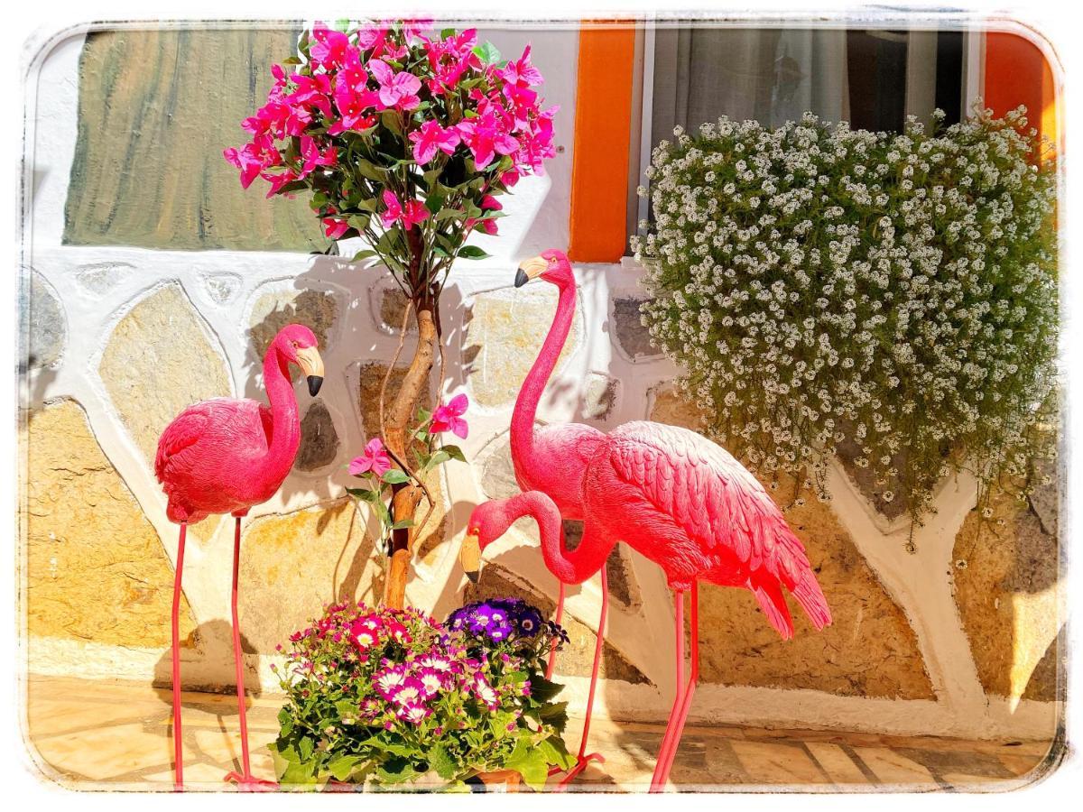 Bodrum Sade Pension Ngoại thất bức ảnh